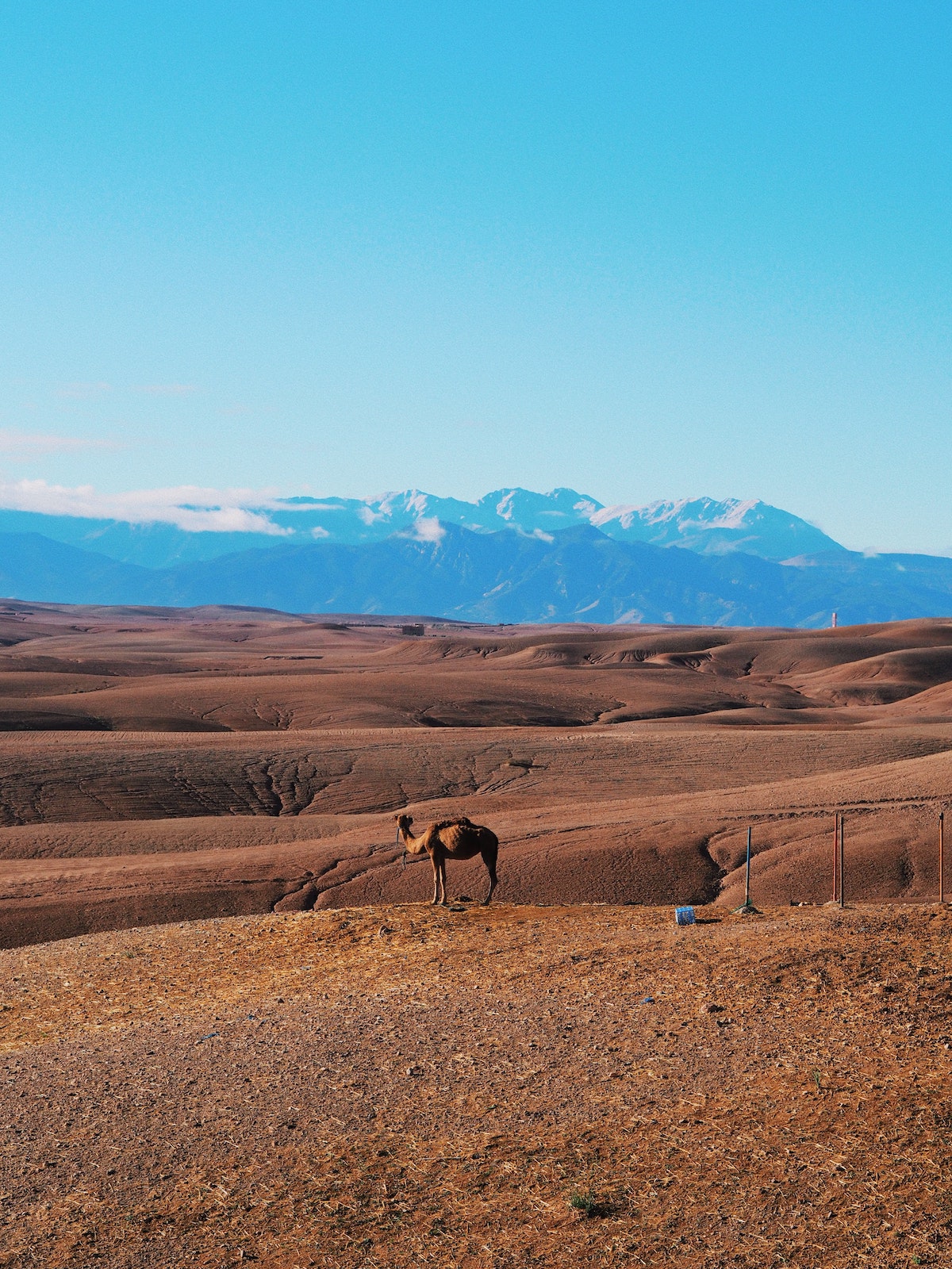 montgolfiere-marrakech-agafay
